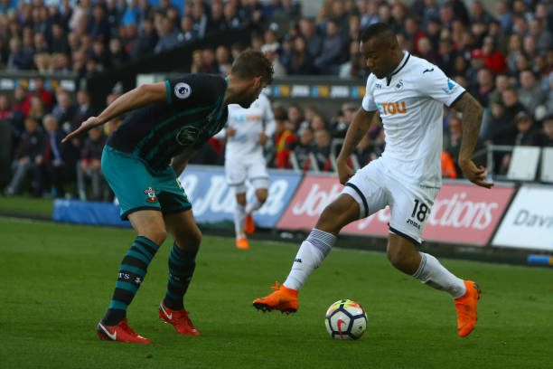 弗格不仅仅 弗格不仅仅