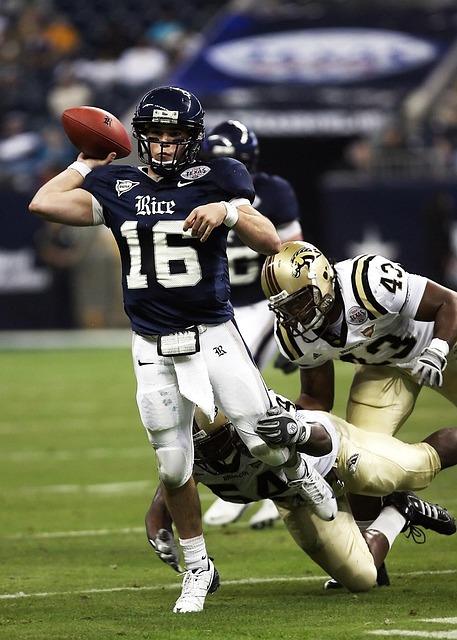 奠定了坚实 奠定了坚实