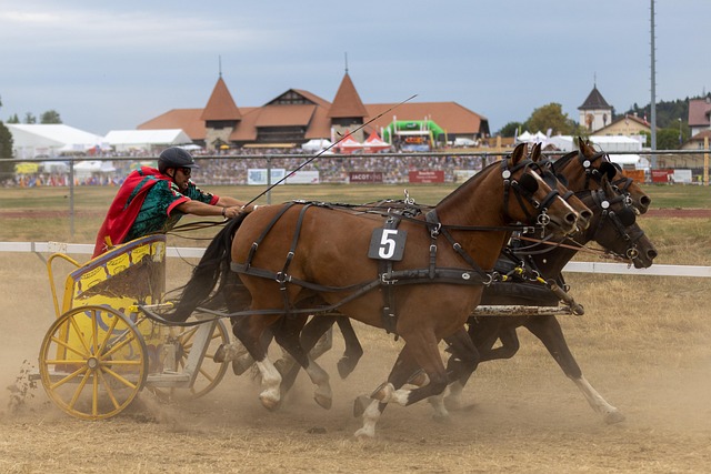 馆的多样性 馆的多样性