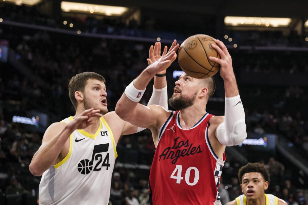 多元化国家 多元化国家