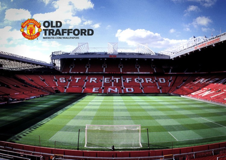 证明了这一 证明了这一