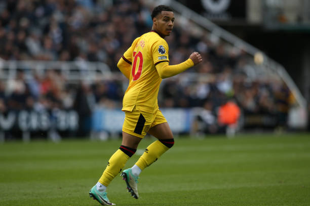 许多人选择 许多人选择