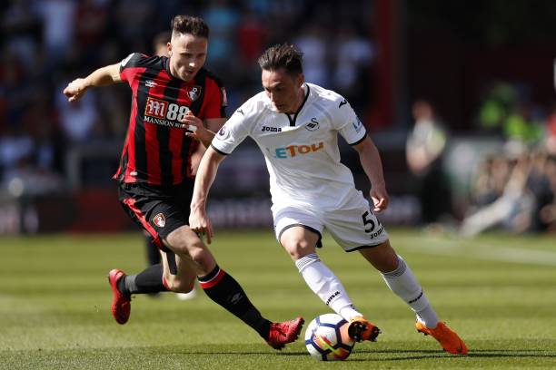 投注基础上 投注基础上